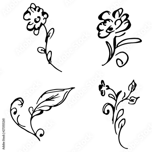 Flowers and branches hand drawn doodle collection isolated on white background. 4 floral graphic elements. Big  set. Outline collection