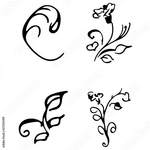 Flowers and branches hand drawn doodle collection isolated on white background. 4 floral graphic elements. Big set. Outline collection
