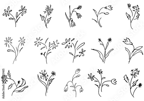 Flowers and branches hand drawn collection isolated on white background. 15 Floral graphic elements. Big  set. Outline collection