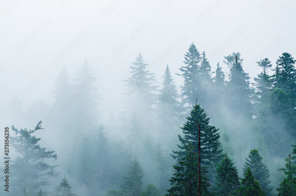 Misty mountain landscape