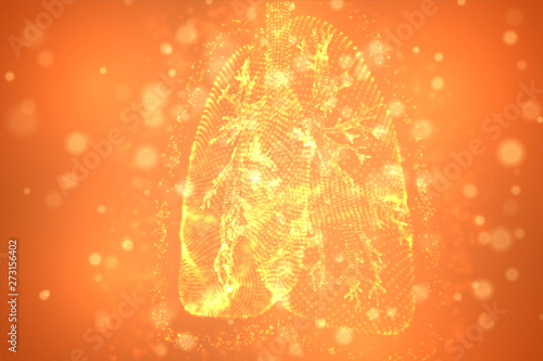 vector lungs and bronchi. vector design. point and dot style