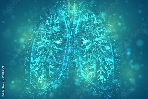 vector lungs and bronchi. vector design. point and dot style