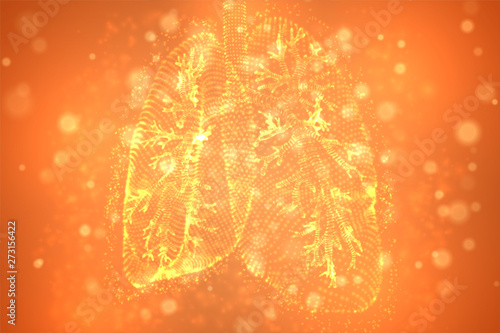 vector lungs and bronchi. vector design. point and dot style