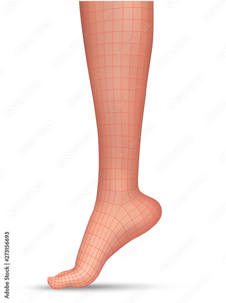 3d illustration,vector foot volume, health and shoe selection 3d illustration,vector foot volume, health and shoe selection