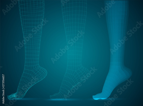 three-dimensional female feet. vector template. finished item. feet care