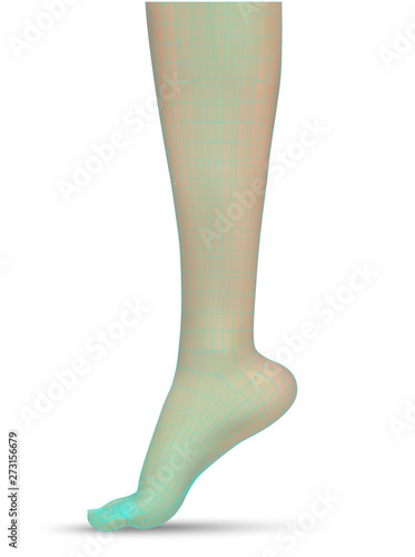 3d illustration,vector foot volume, health and shoe selection
