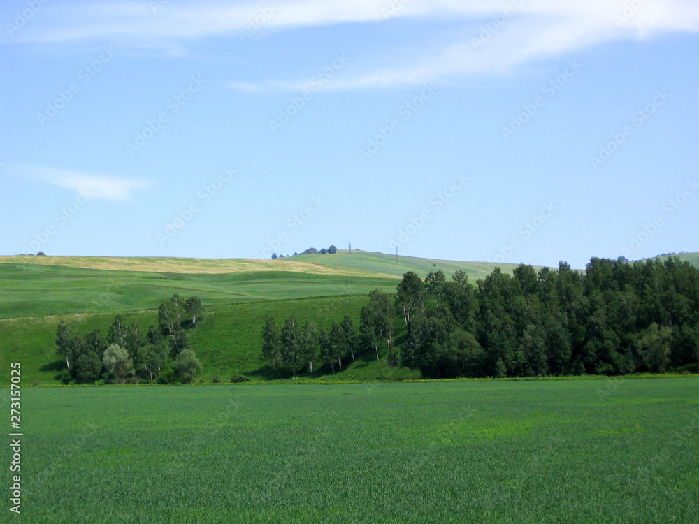 Fototapeta premium Spacious green meadows, extensive areas planted with agronomists cultivated agriculture planted acres in the hills