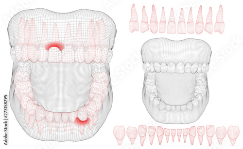 human jaw. 3d vector layout. medicine and health. pain teeth.