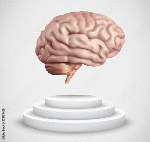 vector brain on top of pedestal on white background