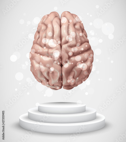 vector brain on top of pedestal on white background
