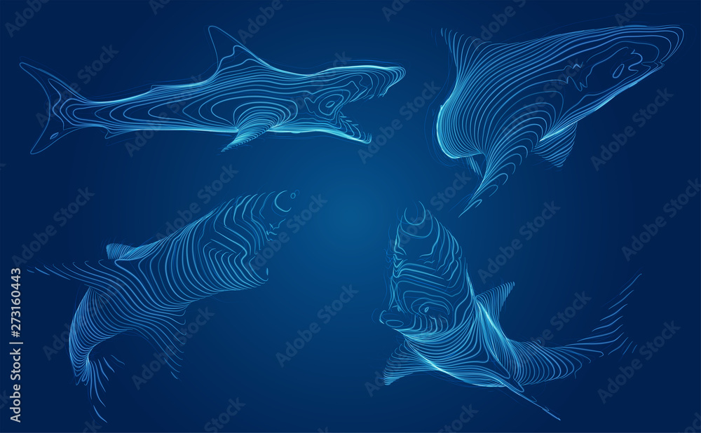 Obraz premium 3d vector set. ocean protection. great white shark.