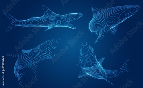 3d vector set. ocean protection. great white shark.