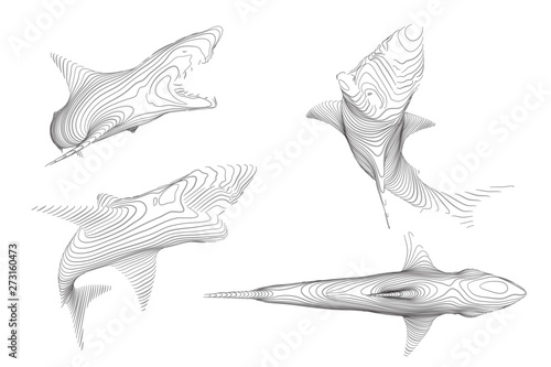 3d vector set. ocean protection. great white shark.
