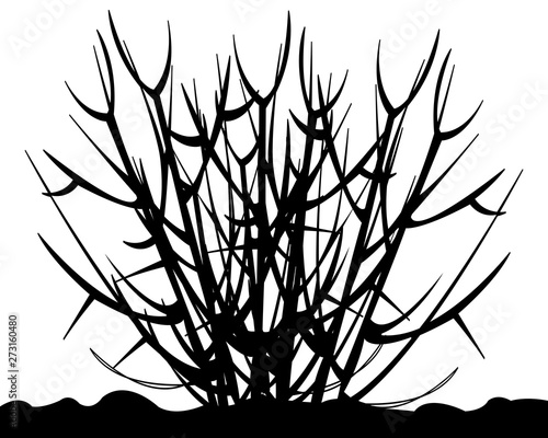 Vector illustration of the silhouette of the nacked bush