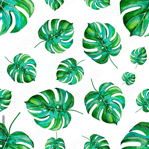 Watercolor seamless pattern with monstera leaves. Tropical leaves isolated on white background. Hand painted illustration.