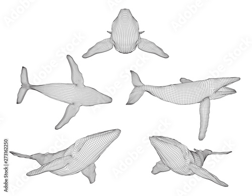 3d vector set. ocean protection. big blue whale
