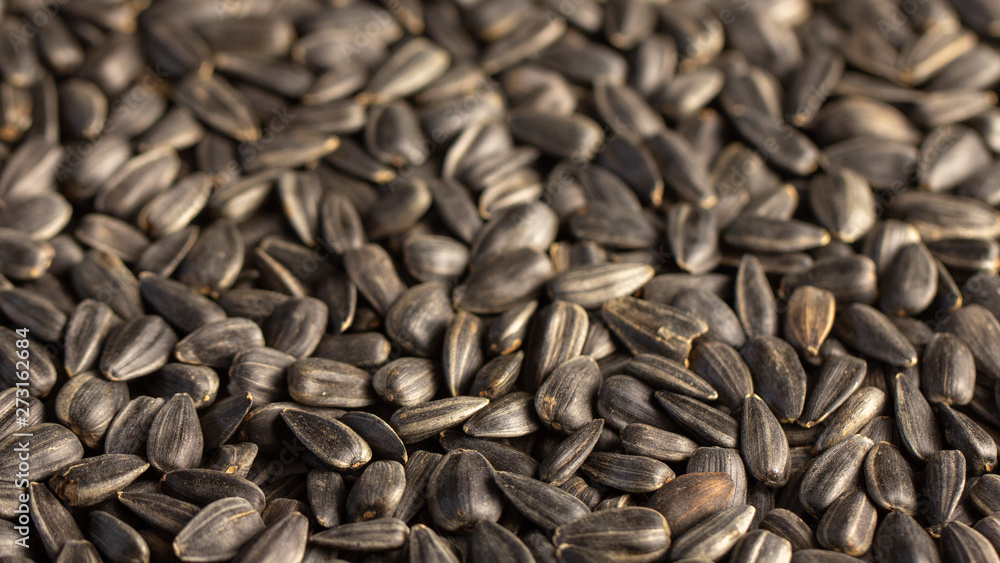 Sunflower seeds, back ground or texture, high detail Sunflower seeds, back ground or texture, high detail
