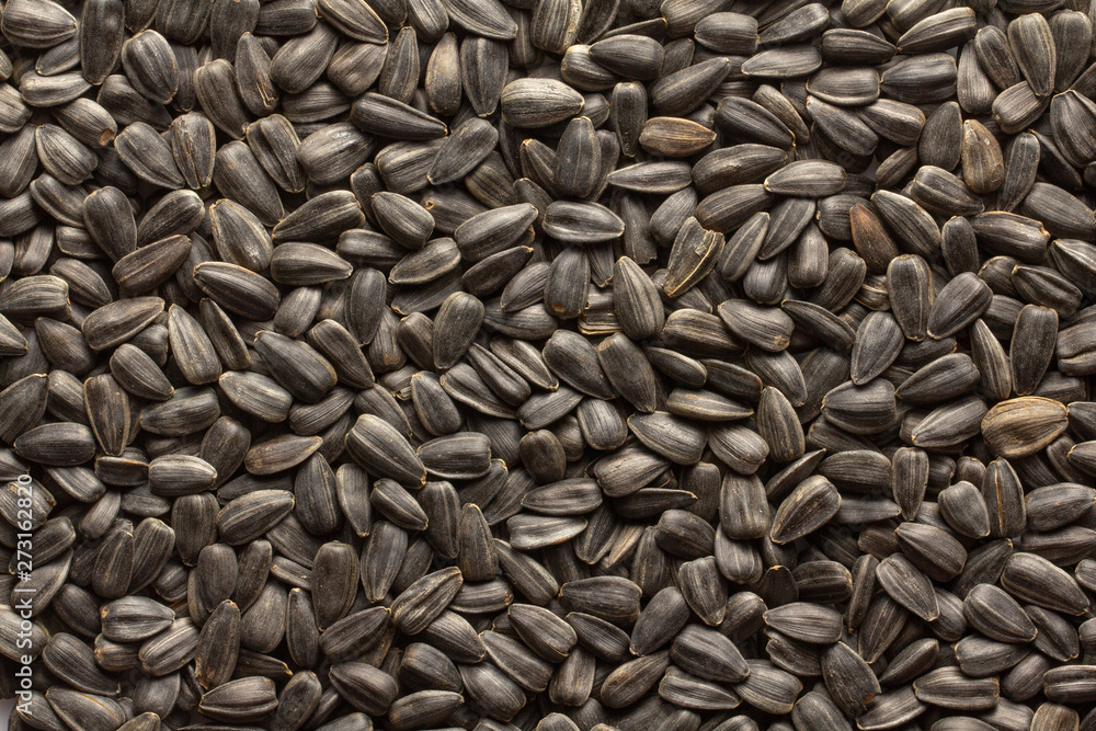 Sunflower seeds, back ground or texture, high detail Sunflower seeds, back ground or texture, high detail