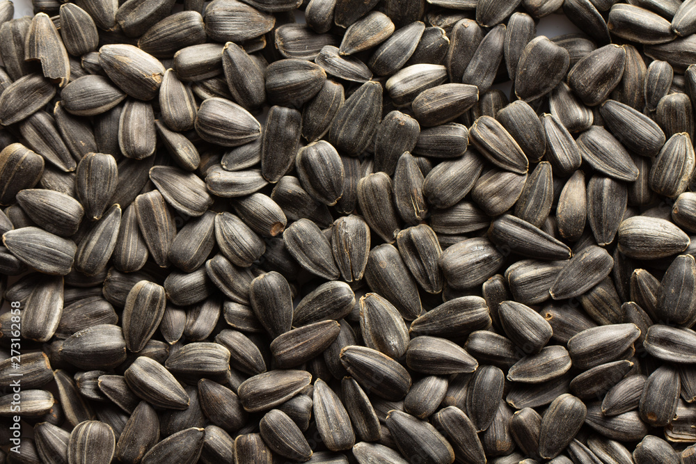 Sunflower seeds, back ground or texture, high detail Sunflower seeds, back ground or texture, high detail