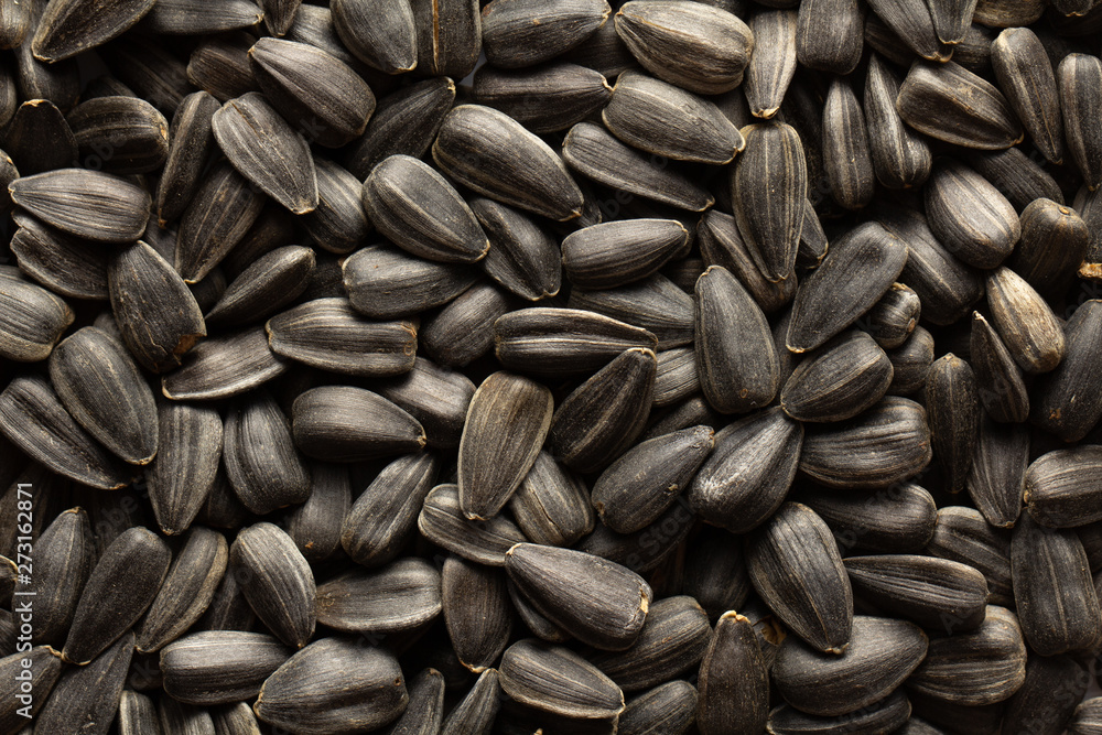 Sunflower seeds, back ground or texture, high detail Sunflower seeds, back ground or texture, high detail
