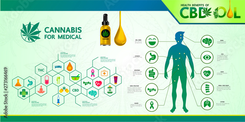 Cannabis benefits for health vector illustration.