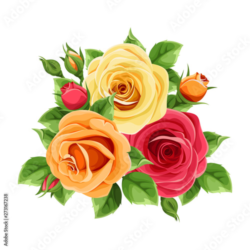 Vector red, orange and yellow roses isolated on a white background.