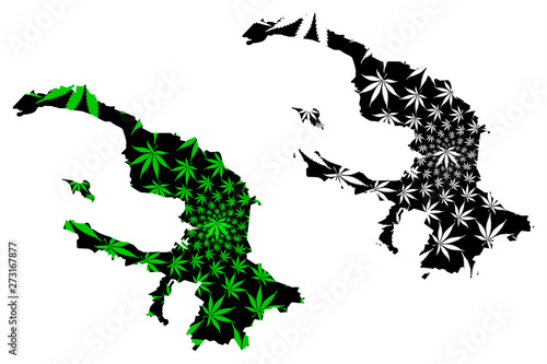 Saint Petersburg (Russia, Federal cities of Russia) map is designed cannabis leaf green and black, Saint Petersburg (Leningrad, Petrograd) map made of marijuana (marihuana,THC) foliage,....