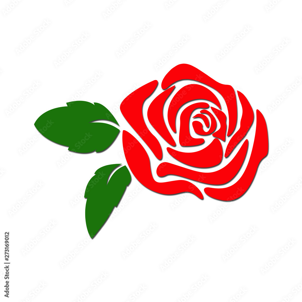 Red rose on white background Red rose on white background