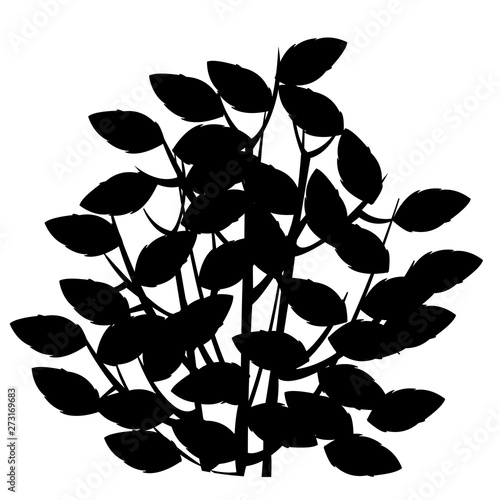 Fototapet Vector illustration of the silhouette of the bush with foliage