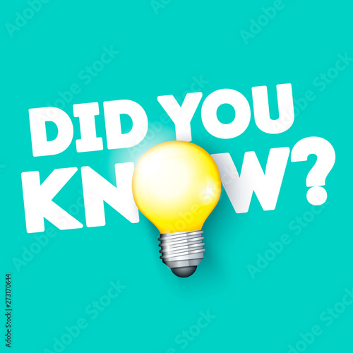 Vector Illustration Did You Know Help with Bulb Icon 