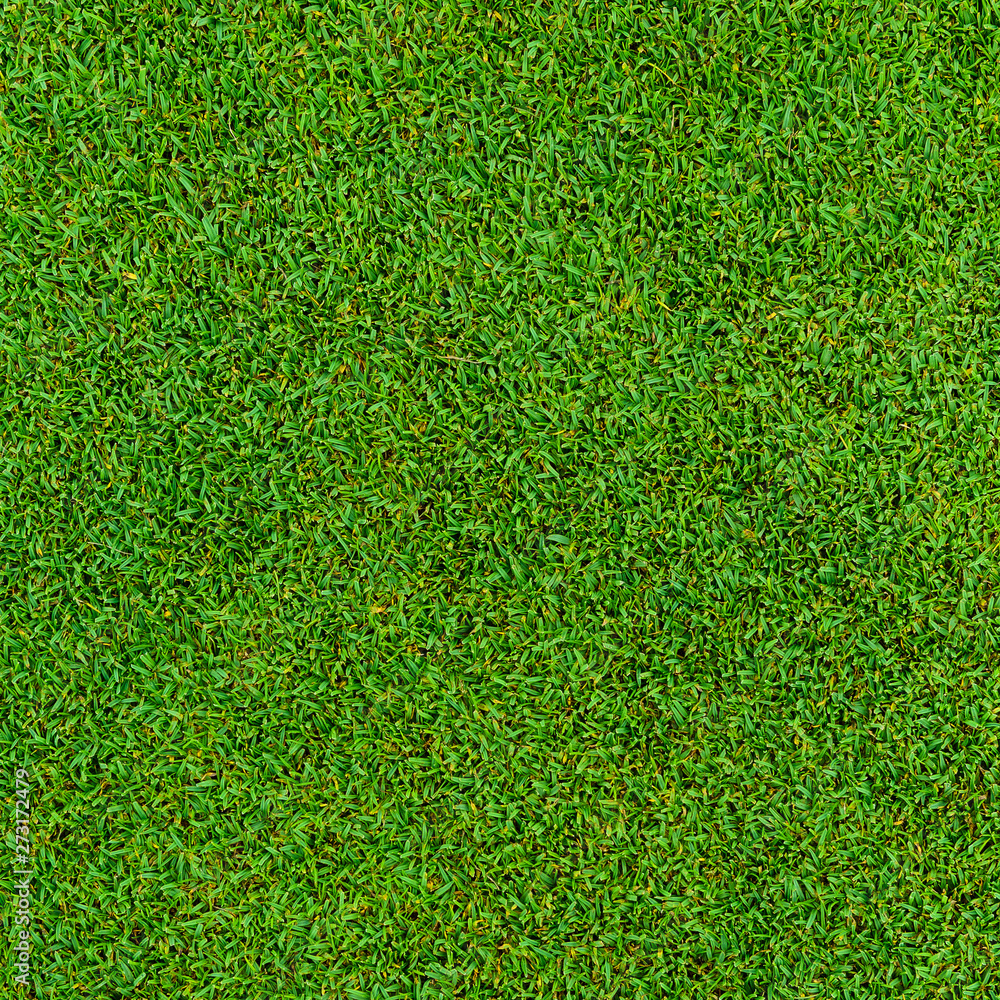 Fototapeta premium Background and texture of Beautiful green grass pattern from golf course