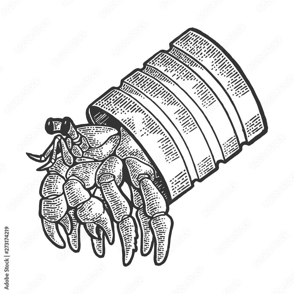 Hermit crab sea animal in tin can sketch engraving vector illustration.  Scratch board style imitation. Black and white hand drawn image. Stock  Vector | Adobe Stock
