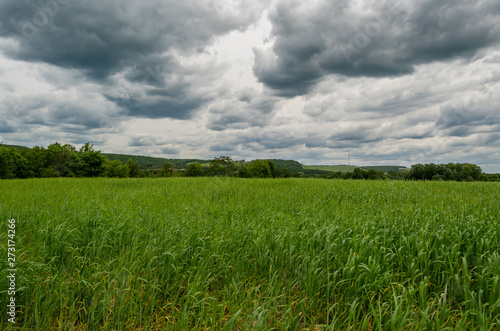 landscape rain clouds over a green field and country road