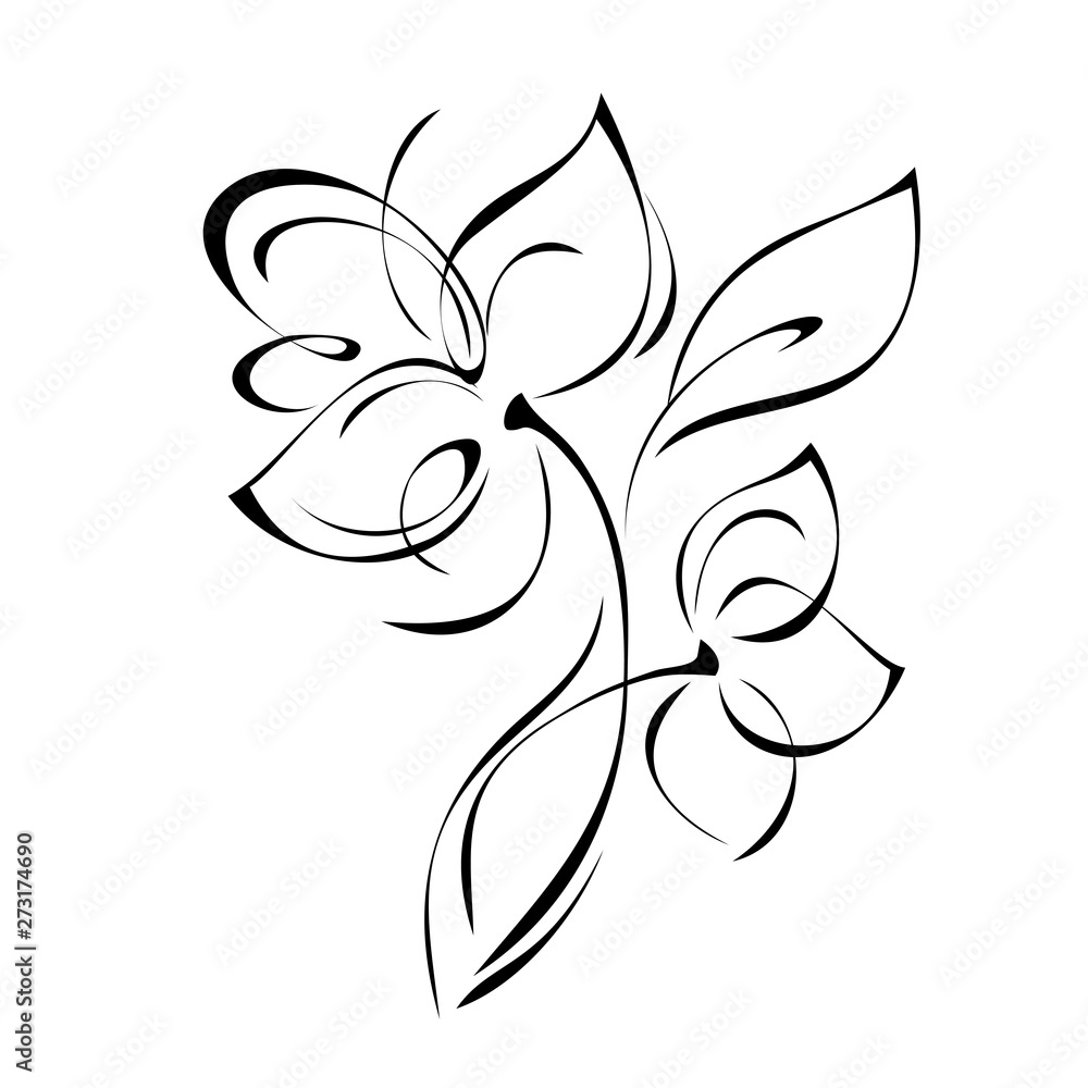 two stylized flowers on a stem with a leaf in black lines on a white background two stylized flowers on a stem with a leaf in black lines on a white background