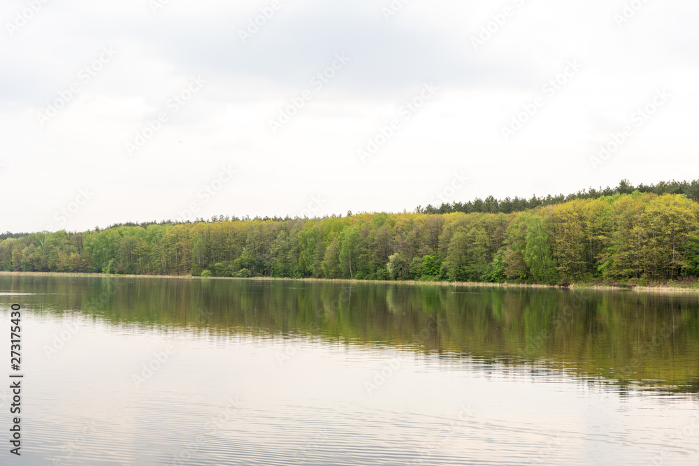 Picturesque view of the reflective surface of the water of the lake and forest in the summer day