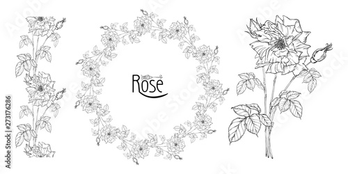 vector floral arrangement with rose flowers and rose buds