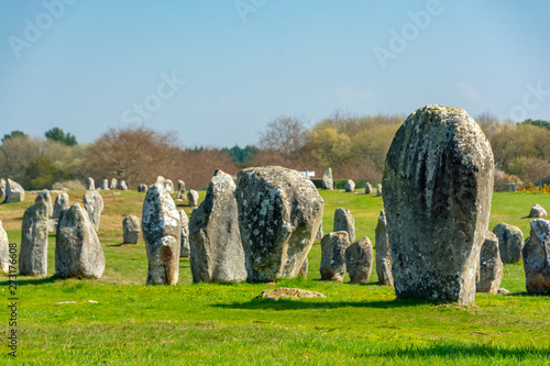 Carnac Megaliths photo