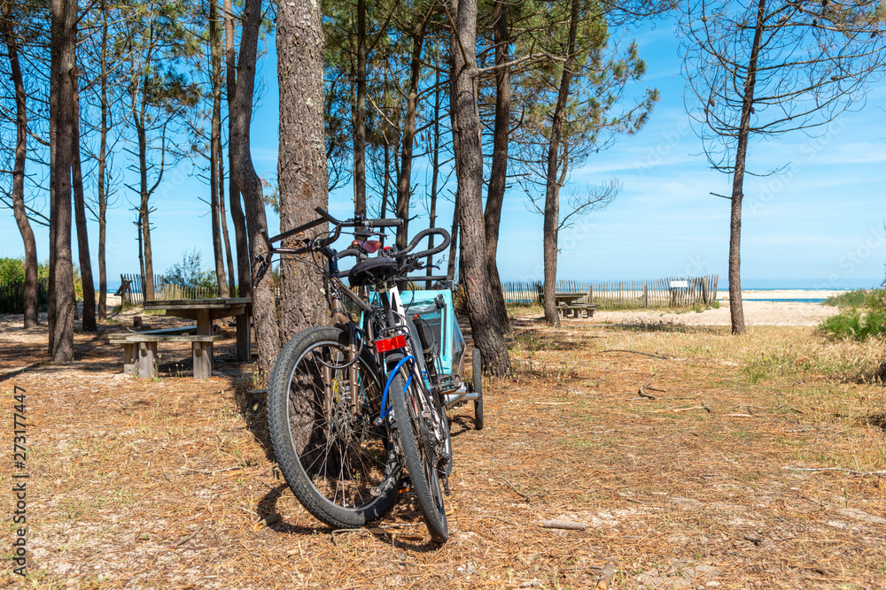 Fototapeta premium BASSIN D'ARCACHON (France), accès à la plage du Petit Nice