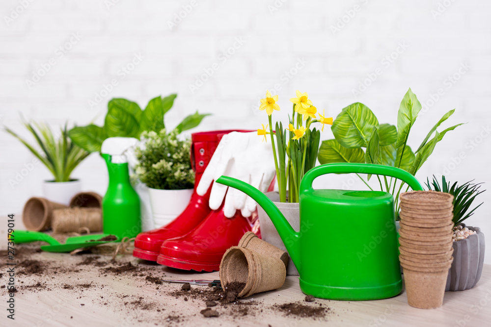 spring background - close up of potted plants and gardening tools on wooden table spring background - close up of potted plants and gardening tools on wooden table