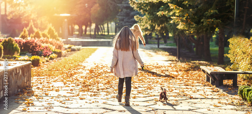 Obraz na plátně Blond girl walking with cute puppy on the sunshine autumn park alley