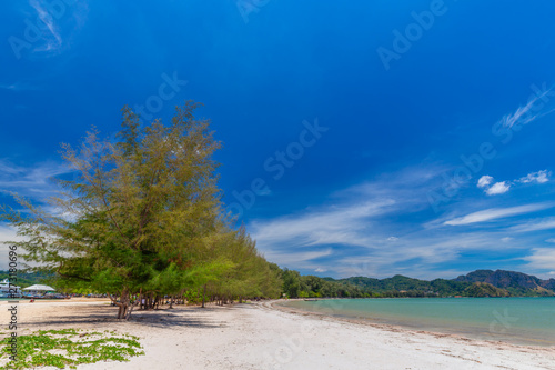 Fototapeta Naklejka Na Ścianę i Meble -  Beautiful sandy beaches and pine tree views at Paradise Islandin krabi Thailand