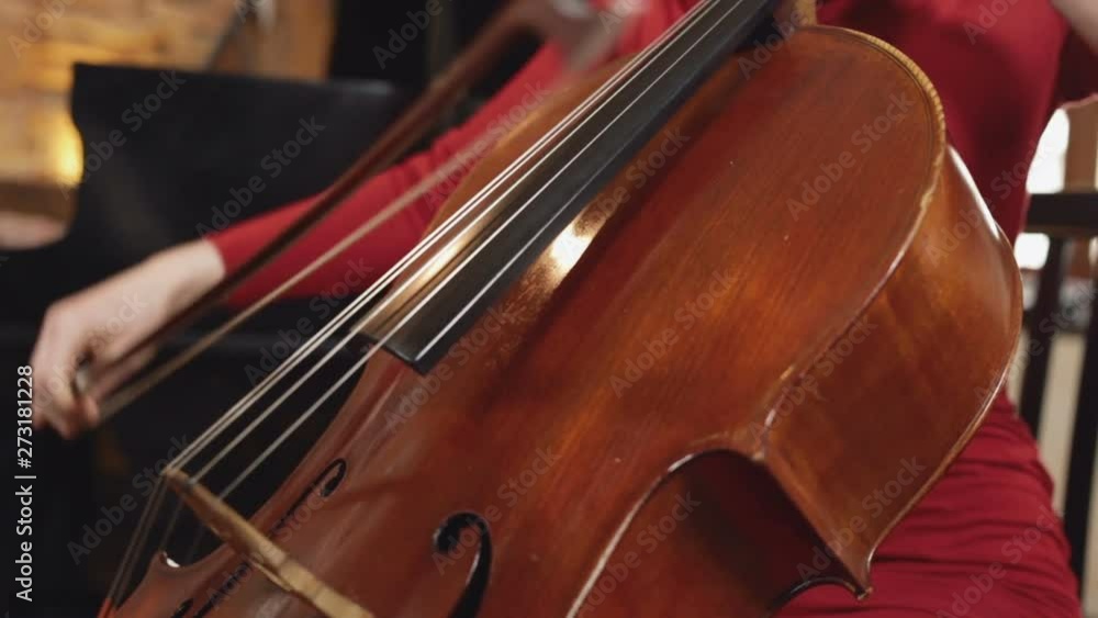 Cello player. Cellist hands playing cello with bow. And pianist