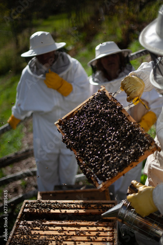 beekeeper with honeycomb