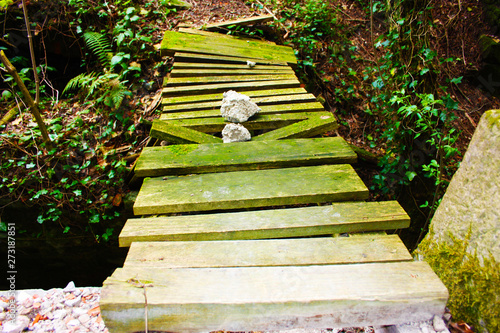 wooden staircases now rotten and rotten, corroded by the damp and by the nature that advances, once being part of the construction of a military fort. now forest photo