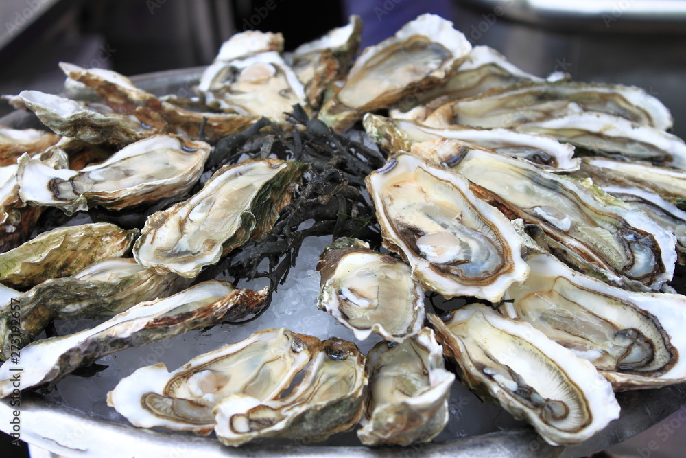 Bunch of Oysters Bunch of Oysters