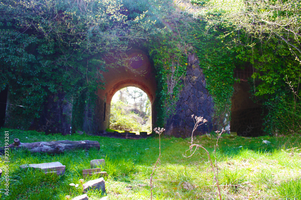 scary access portal, arched to enter the Fort Bastion of Fosdinovo, a fortress taken by nature and wild vegetation