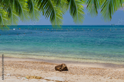Tropical sea with stone on center of beach and coconut tree on the beach. © Petch A Ratana