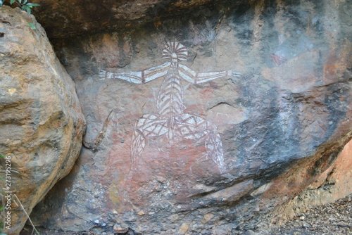 オーストラリアの世界複合遺産カカドゥ国立公園のX線透視図法岩絵