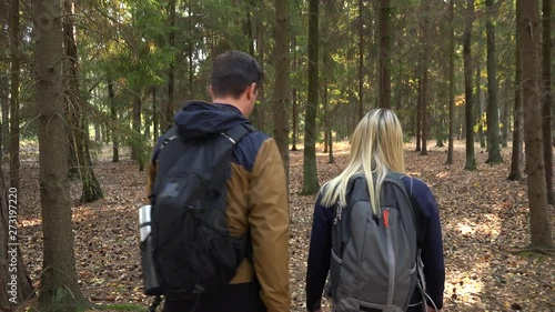 Wallpaper Mural A hiking couple walks through a forest on a sunny day, the woman points at something in the distance - rear view Torontodigital.ca