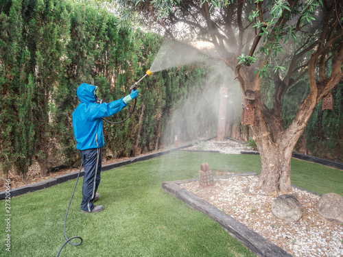 Man spraying a garden using pesticide and insecticide protected with mask